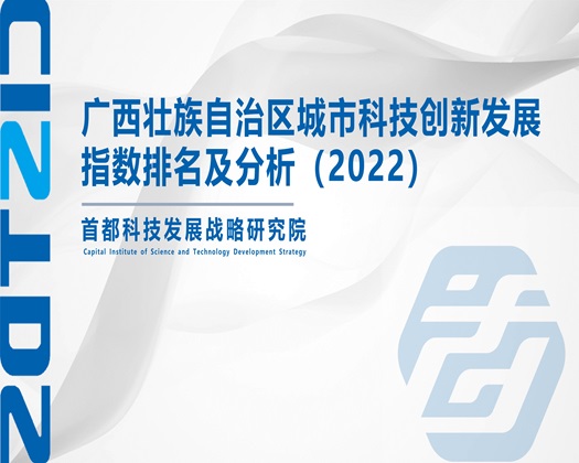 大白鸡巴操美女逼逼操大白屁股【成果发布】广西壮族自治区城市科技创新发展指数排名及分析（2022）